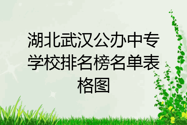 湖北武汉公办中专学校排名榜名单表格图
