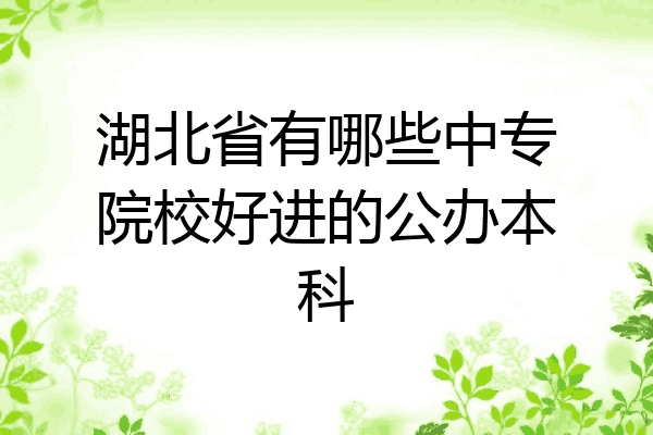 湖北省有哪些中专院校好进的公办本科
