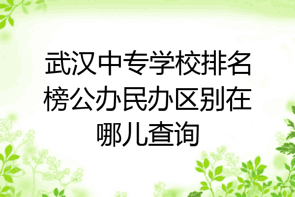 武汉中专学校排名榜公办民办区别在哪儿查询