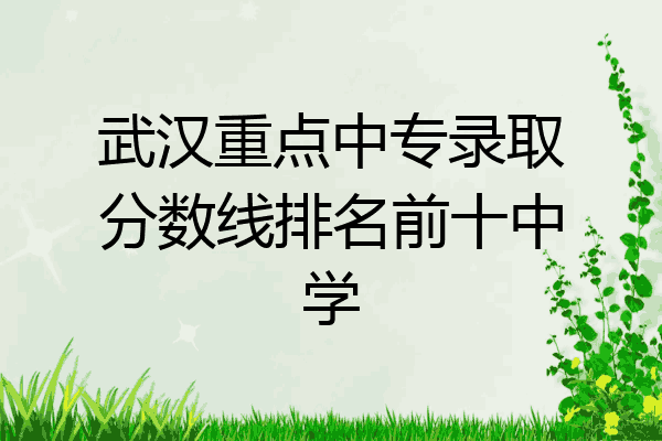 武汉重点中专录取分数线排名前十中学
