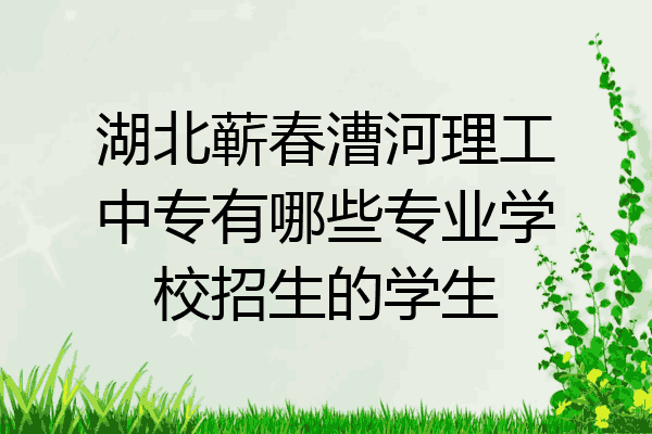 湖北蕲春漕河理工中专有哪些专业学校招生的学生