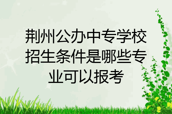 荆州公办中专学校招生条件是哪些专业可以报考