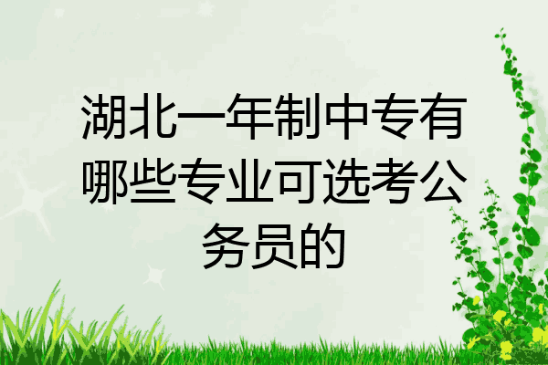 湖北一年制中专有哪些专业可选考公务员的