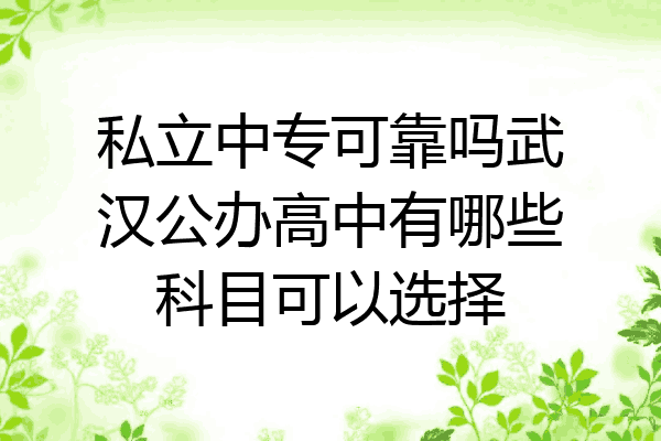 私立中专可靠吗武汉公办高中有哪些科目可以选择