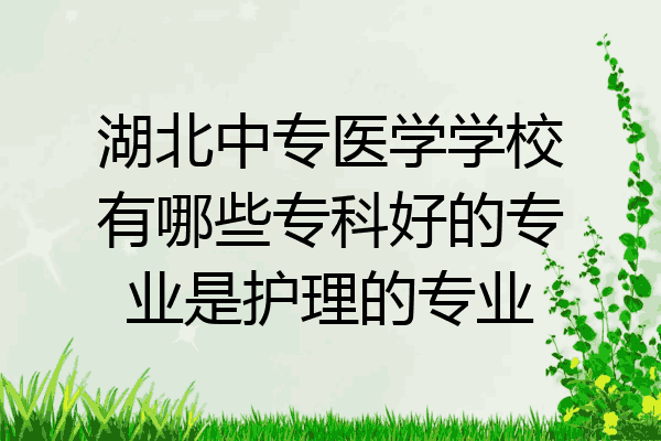 湖北中专医学学校有哪些专科好的专业是护理的专业