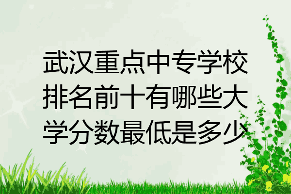 武汉重点中专学校排名前十有哪些大学分数最低是多少