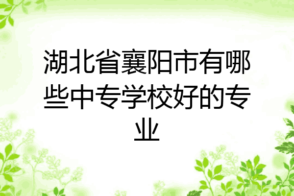 湖北省襄阳市有哪些中专学校好的专业