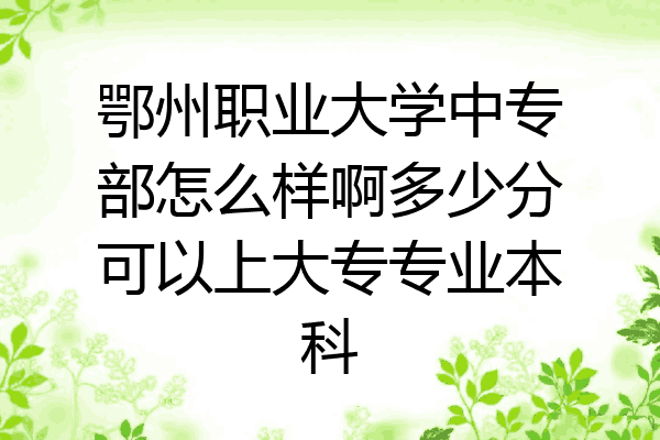 鄂州职业大学中专部怎么样啊多少分可以上大专专业本科
