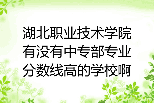 湖北职业技术学院有没有中专部专业分数线高的学校啊