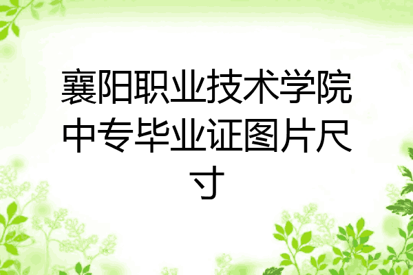 襄阳职业技术学院中专毕业证图片尺寸