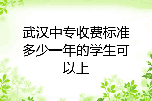 武汉中专收费标准多少一年的学生可以上