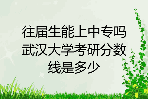 往届生能上中专吗武汉大学考研分数线是多少