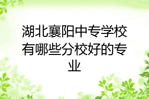 湖北襄阳中专学校有哪些分校好的专业