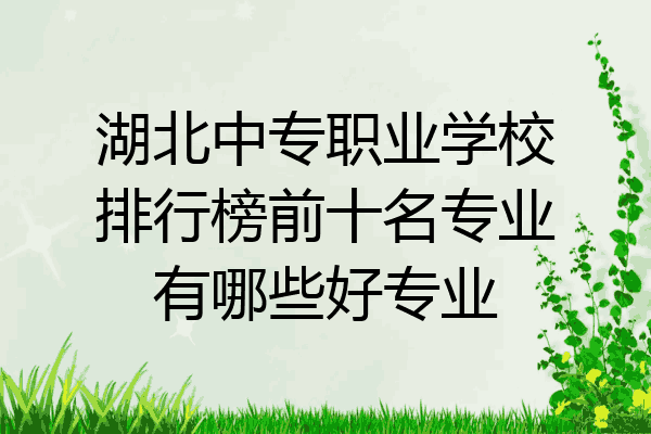湖北中专职业学校排行榜前十名专业有哪些好专业