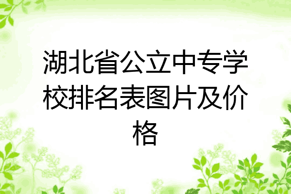 湖北省公立中专学校排名表图片及价格