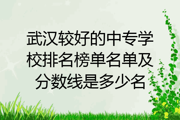 武汉较好的中专学校排名榜单名单及分数线是多少名