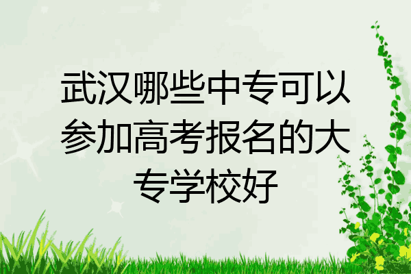 武汉哪些中专可以参加高考报名的大专学校好