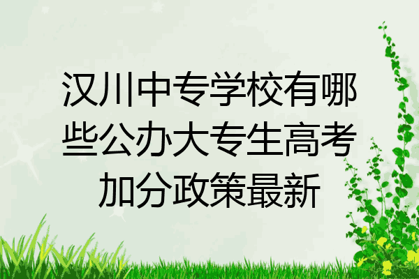 汉川中专学校有哪些公办大专生高考加分政策最新