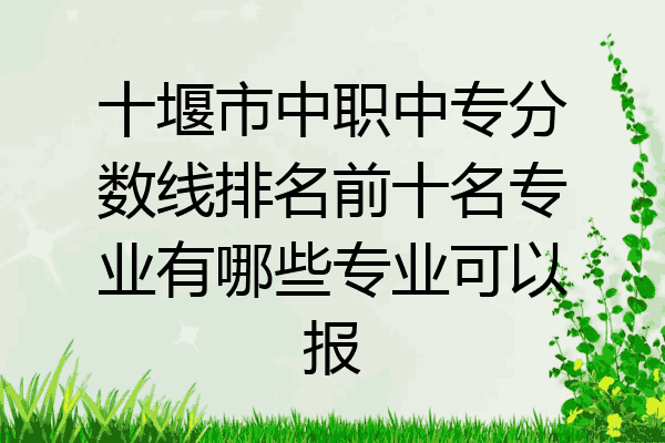 十堰市中职中专分数线排名前十名专业有哪些专业可以报