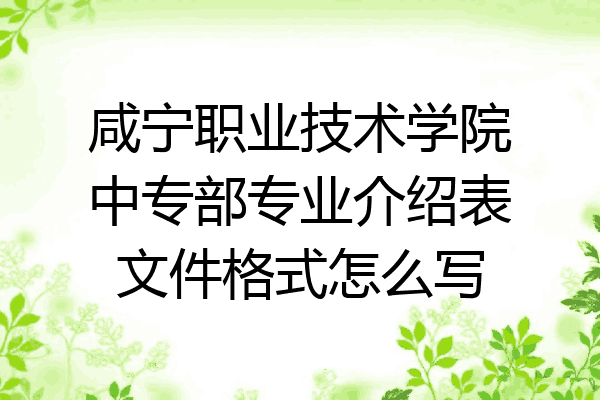 咸宁职业技术学院中专部专业介绍表文件格式怎么写