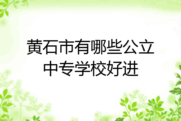 黄石市有哪些公立中专学校好进