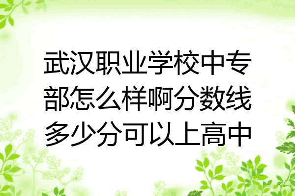 武汉职业学校中专部怎么样啊分数线多少分可以上高中