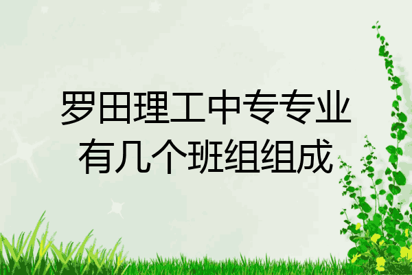 罗田理工中专专业有几个班组组成