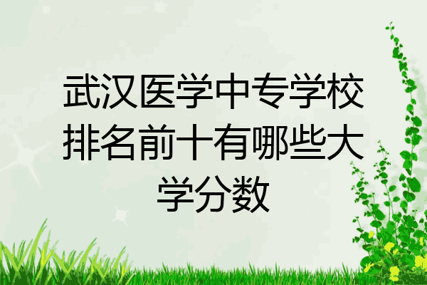 武汉医学中专学校排名前十有哪些大学分数