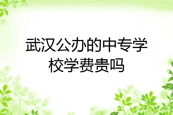武汉公办的中专学校学费贵吗