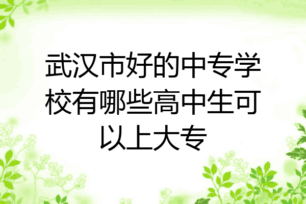 武汉市好的中专学校有哪些高中生可以上大专