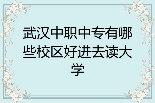 武汉中职中专有哪些校区好进去读大学