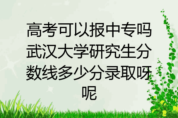 高考可以报中专吗武汉大学研究生分数线多少分录取呀呢