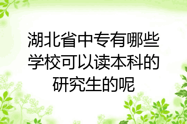 湖北省中专有哪些学校可以读本科的研究生的呢