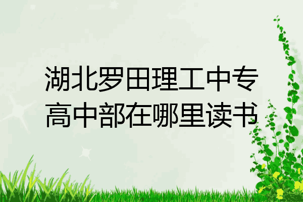 湖北罗田理工中专高中部在哪里读书