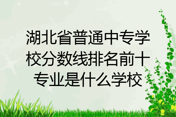 湖北省普通中专学校分数线排名前十专业是什么学校