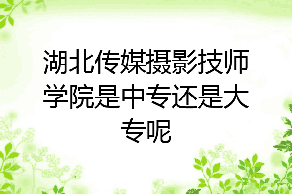 湖北传媒摄影技师学院是中专还是大专呢