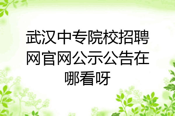 武汉中专院校招聘网官网公示公告在哪看呀