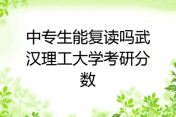 中专生能复读吗武汉理工大学考研分数