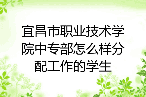 宜昌市职业技术学院中专部怎么样分配工作的学生