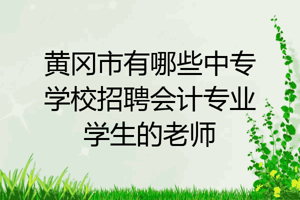黄冈市有哪些中专学校招聘会计专业学生的老师
