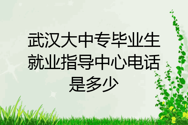 武汉大中专毕业生就业指导中心电话是多少