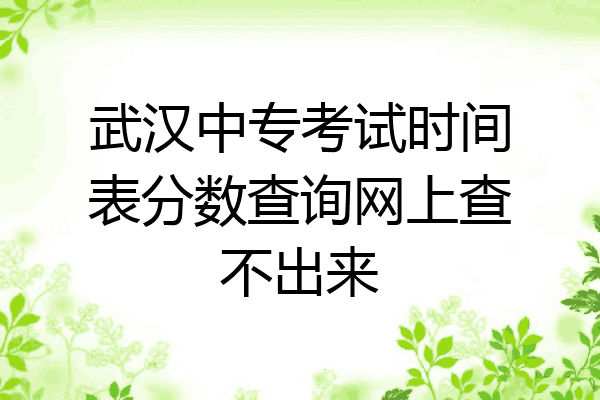 武汉中专考试时间表分数查询网上查不出来