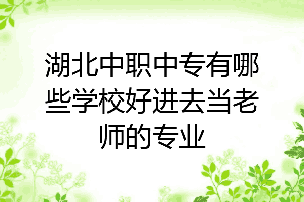 湖北中职中专有哪些学校好进去当老师的专业
