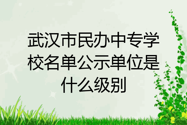 武汉市民办中专学校名单公示单位是什么级别