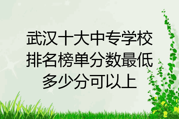 武汉十大中专学校排名榜单分数最低多少分可以上