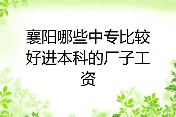 襄阳哪些中专比较好进本科的厂子工资