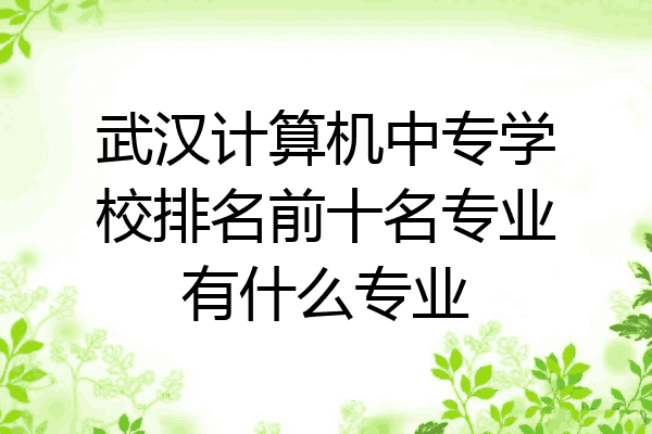 武汉计算机中专学校排名前十名专业有什么专业