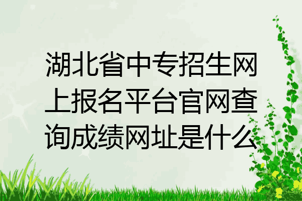 湖北省中专招生网上报名平台官网查询成绩网址是什么