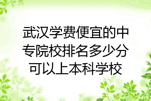 武汉学费便宜的中专院校排名多少分可以上本科学校