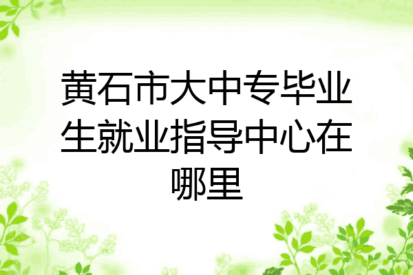 黄石市大中专毕业生就业指导中心在哪里